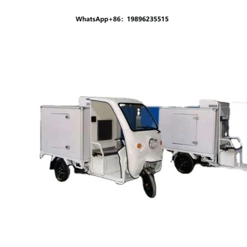 Electric Freezer Refrigerator Tricycles Adult Three Wheel Electric Cooling Tricycle Scooter