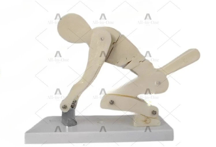 Human weightlifting simulation model Bend over and squat with heavy objects Operation demonstration Waist health care Fitness