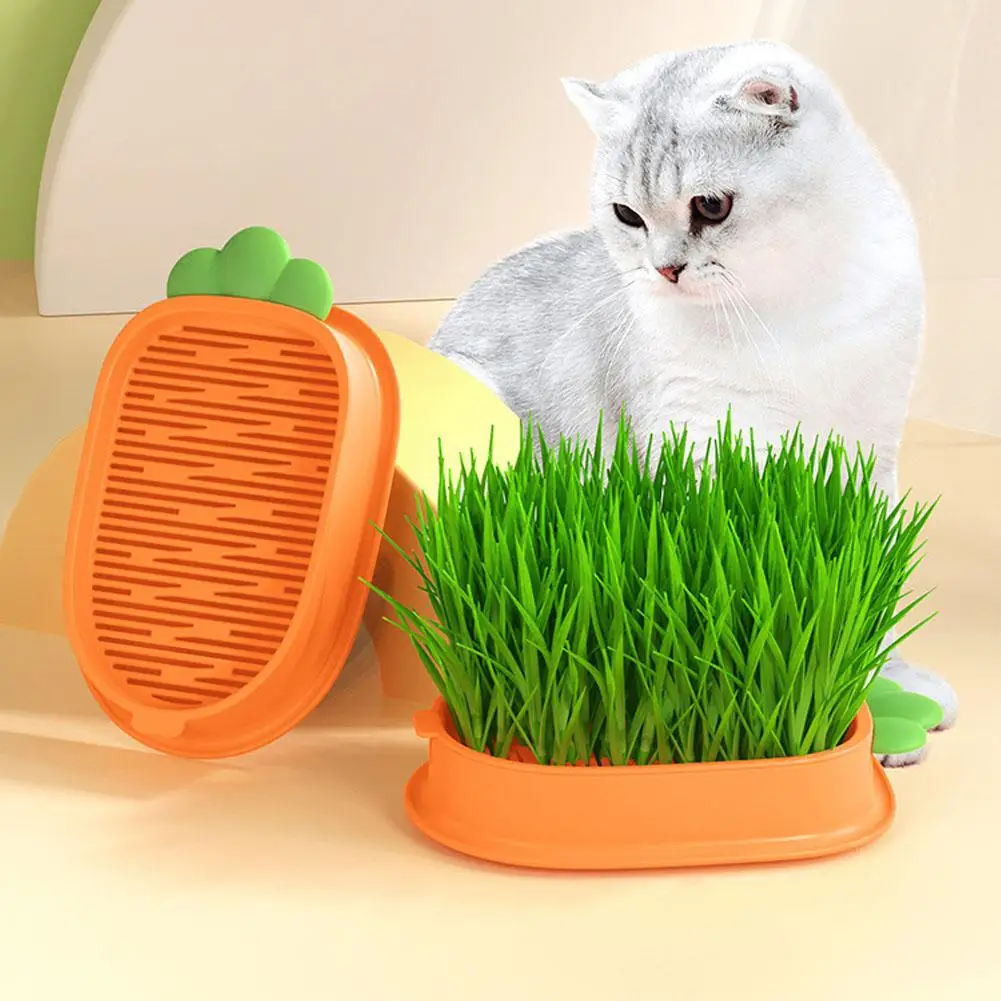 Seedling Tray Soilless Cat Plant Pot Creative Carrot Planter Hydroponic Culture Cat Grass Catnip Kit Growing Soil-Free Gras R3F6