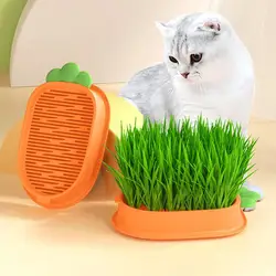 Seedling Tray Soilless Cat Plant Pot Creative Carrot Planter Hydroponic Culture Cat Grass Catnip Kit Growing Soil-Free Gras R3F6