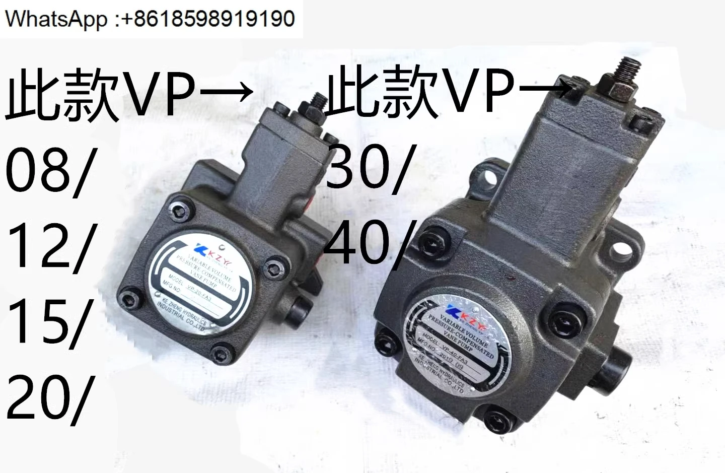 

1PCS VP-20-FA3/VP-30/VP-40-FA3 Variable Vane Pump 15 12 08 Oil Pump Hydraulic Pump