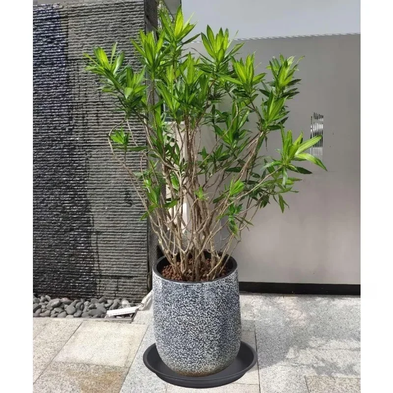 High-quality Plastic Plant Saucer Round,Flower Pot Trays for Indoor Outdoor,Waterproof Garden Supplies for Flowerpot DripTray