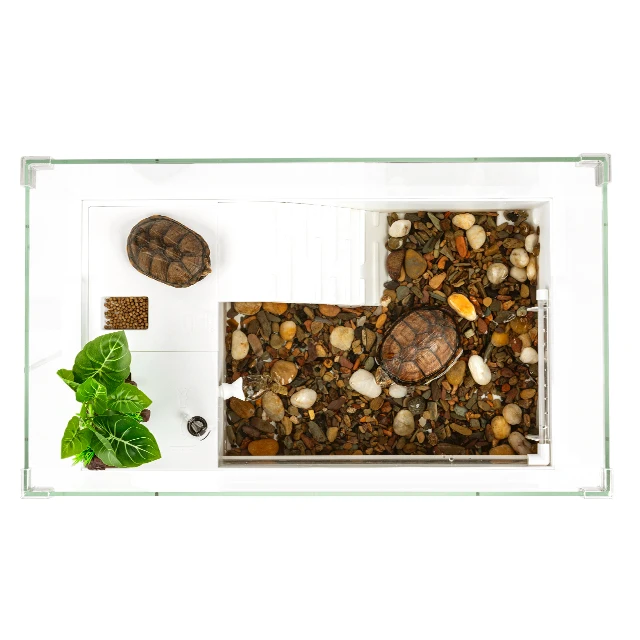 Caja de vidrio y plástico para mascotas, tanque de tortugas para alimentación de reptiles, acuario con rampa de escalada antideslizante para todas las especies de tortugas, uso doméstico