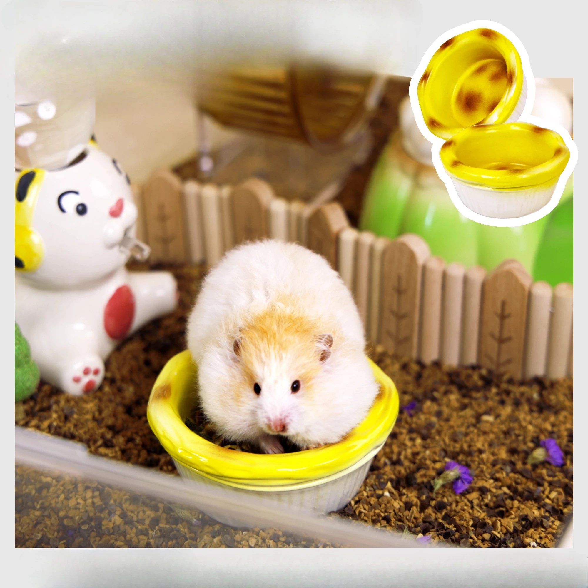 2027 Hamster Ceramic Nest Golden Bear Landscaping Ice Box Small House Summer Igloo Heat Dissipation Escape Home Universal All Se