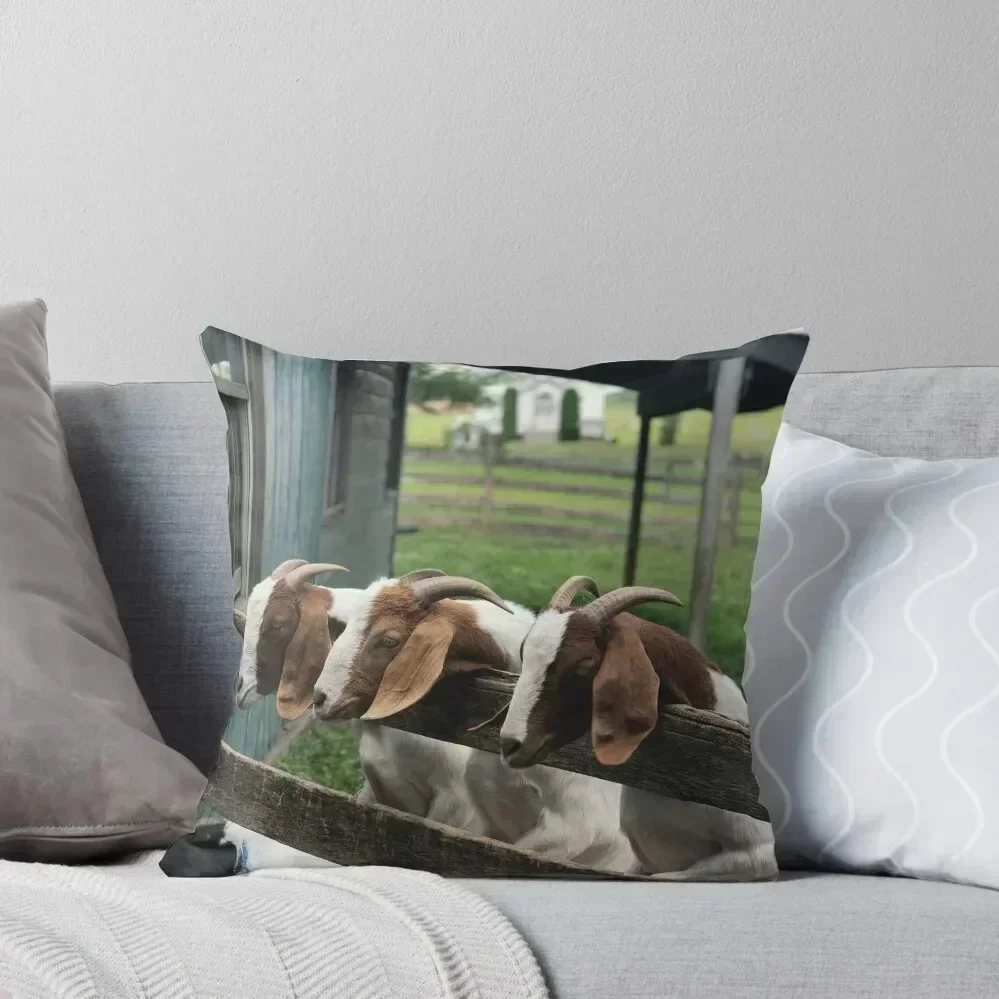 Goats On A Fence Throw Pillow Sofa Cushion Cover Luxury Pillow Case Plaid Sofa pillow