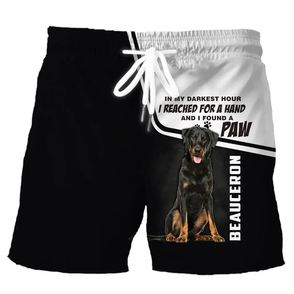 CLOOCL, pantalones cortos para hombre, pantalones cortos deportivos con estampado 3D de Bulldog Inglés de animales, pantalones cortos informales de moda Harajuku Hip Hop para playa, envío directo