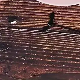 10 قطعة المسواك هالوين اليقطين شبح الخفافيش الحلوى الديكور يختار شوكة الفاكهة لمستلزمات حفلات كعكة الكوكتيل