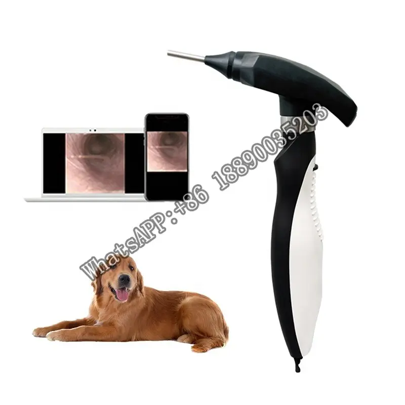 USB Handheld Digital Otoscope Endoscope Camera Medical Machine Ear Ent Video Otoscope Veterinary For Pet Animal Hospital