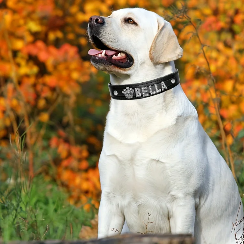 Personalisiertes Hundehalsband aus Kunstleder mit Strass-Herz und Sternform für Welpen und Katzen, ID-Halsband für S, M, L Hunde – Detail 6