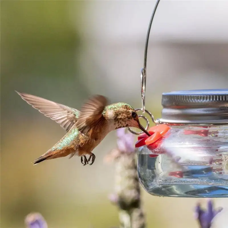 New Arrival Bird Feeder Outdoor Hanging Bird Water Feeders MasonJar Flower Birds Watering Bottle Drinker for Wild Bird Garden