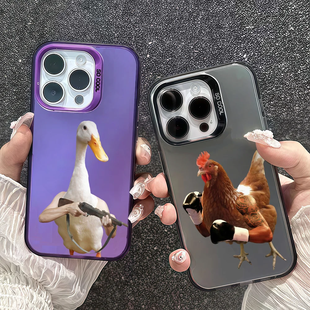 Funny Fighting Duck…