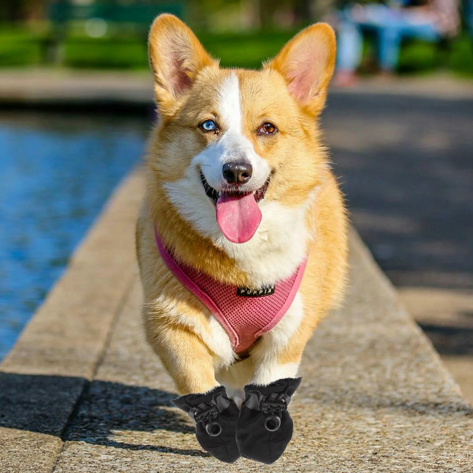 

4Pcs Dog Shoes Black Anti Slip Puppy Booties Soft Sole Reflective Warm Winter Pet Shoes for Outdoor Indoor Booties