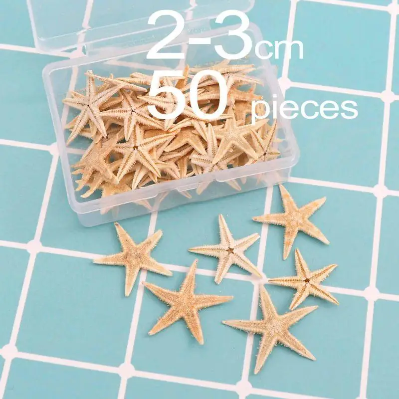 E21F 1 Box Natural Starfish Seashell Beach Craft Natural Sea Stars DIY Beach Wedding Decoration Epoxy Resin Art Crafts 1-5cm