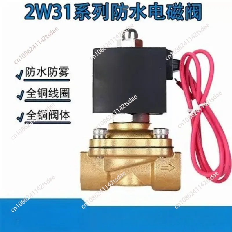2W31-15 Two-position two-way solenoid valve Water valve 2W31-20 Air valve Waterproof thread Anti-fog type 2W31-25