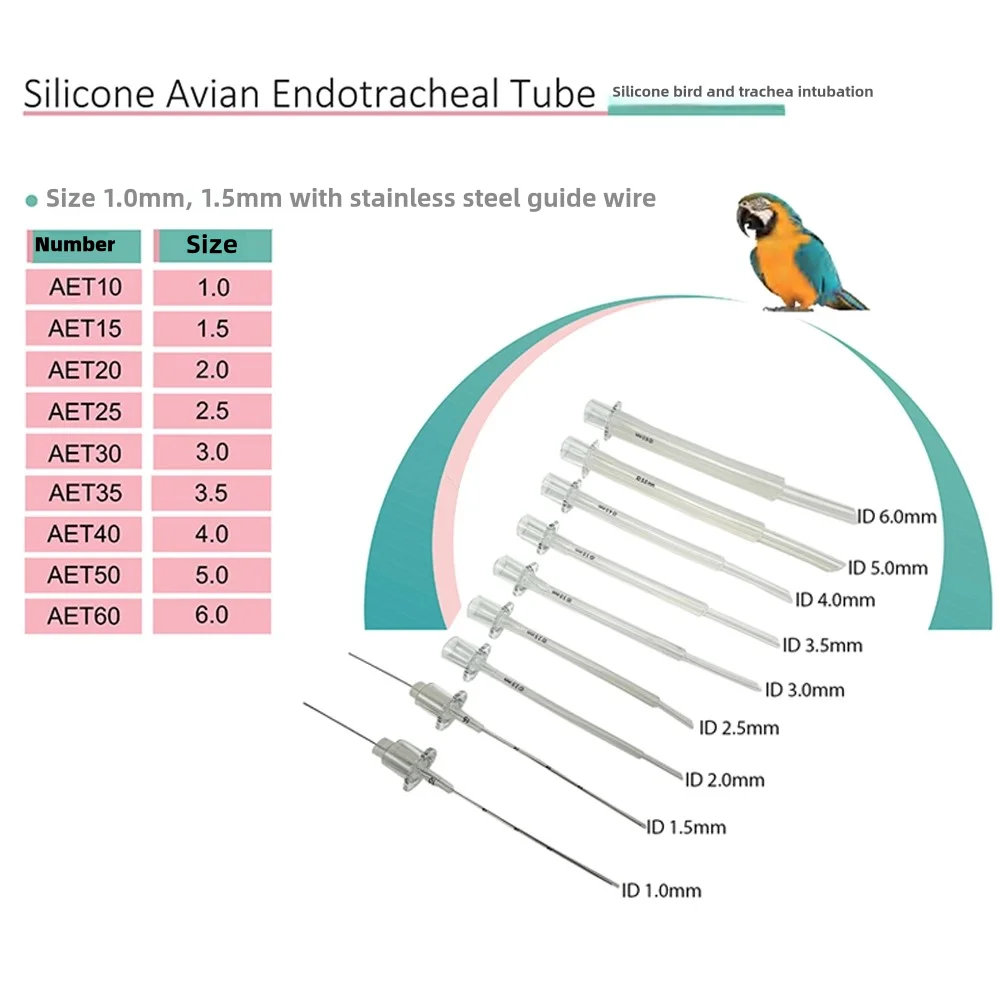 Exotic Pet Birds Avian Cole Endotube Bird Guided Endotracheal Tube Introducer Silicone Poultry 1.0mm-6.0mm 9pcs Vet Clinic