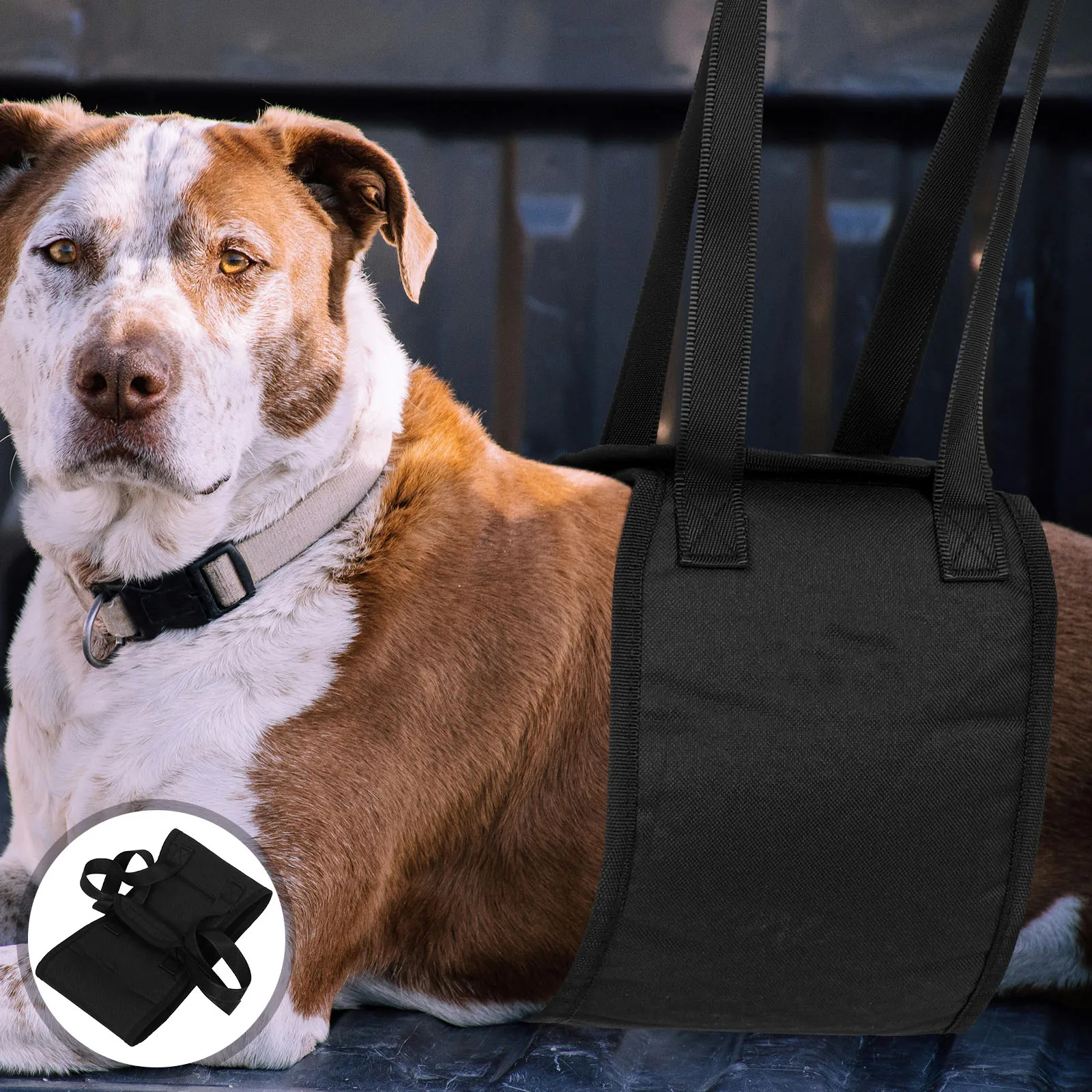 

Pet Auxiliary Belt Assist Sling Rehabilitation Harness Dog Lift Support Golden Retriever