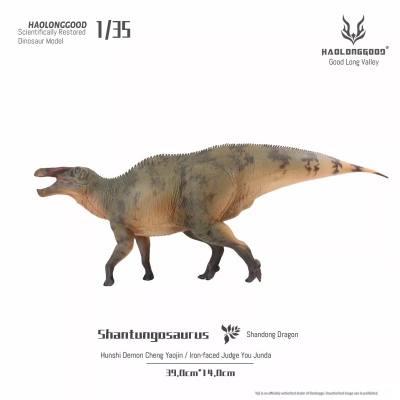 

Haolong Valley [1:35 Shandong Dragon] Jurassic dinosaur model gift toy figure realistic Jurassic animal ornaments