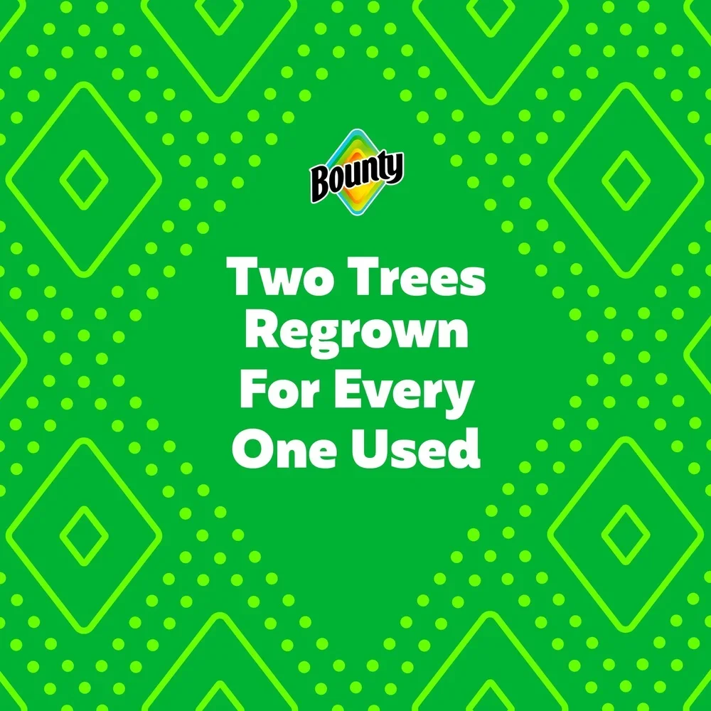 Asciugamani di carta di dimensioni selezionate 2 rotoli tripli 123 fogli per rotolo Altamente assorbenti Pulizia rapida Durevole Texture diamantata Perfetta