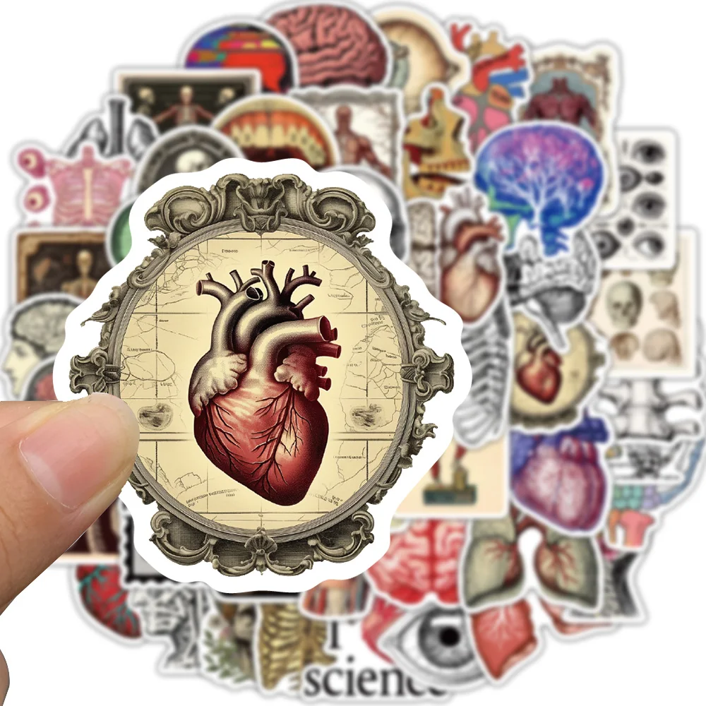 50PCS Retro Scientific Anatomy Sticker Physiology Anatomy Luggage Laptop Cars PVC Guitar Coffee Skateboard Notebook Decals