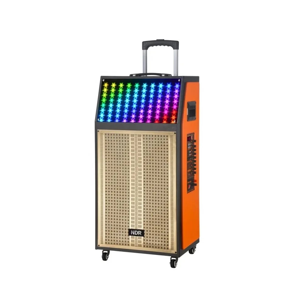 

NDR-112R 12 Inch Hifi Bass Vibration 80W BT Speakers Karaoke DJ With Mic Wireless RGB Light Subwoofer Trolley Sound Equipment