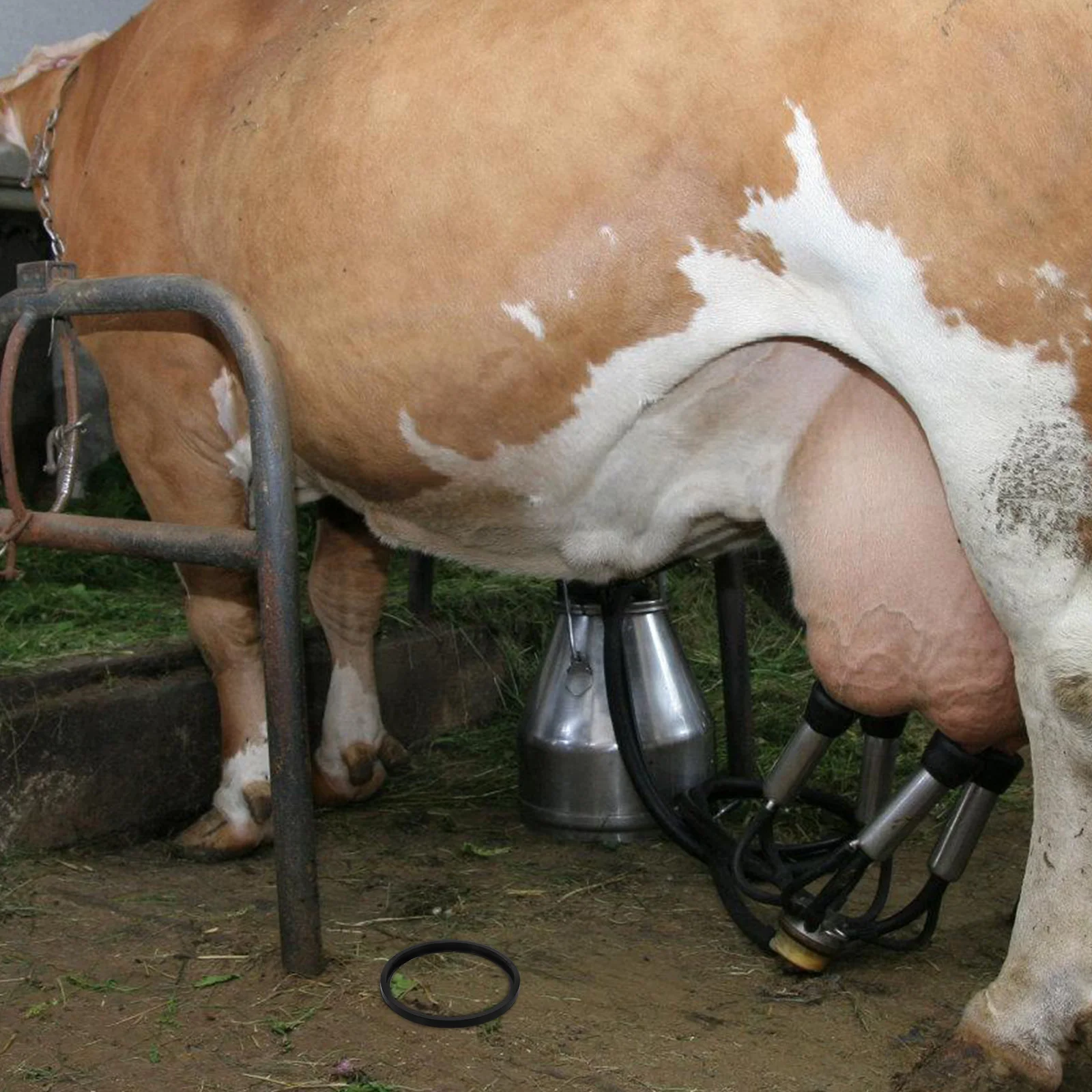 

Replaceable Milk Bucket Lid Seal Ring Durable Milking Bucket Gasket Milking Machine Accessory Part Replacement