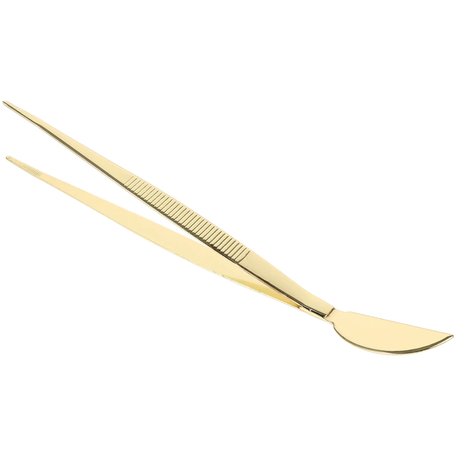 Precision Stainless Steel Bonsai Tweezers with Scraper 2-in-1 Bonsai Tool Compact Multifunctional Gardening Tweezers for Plants