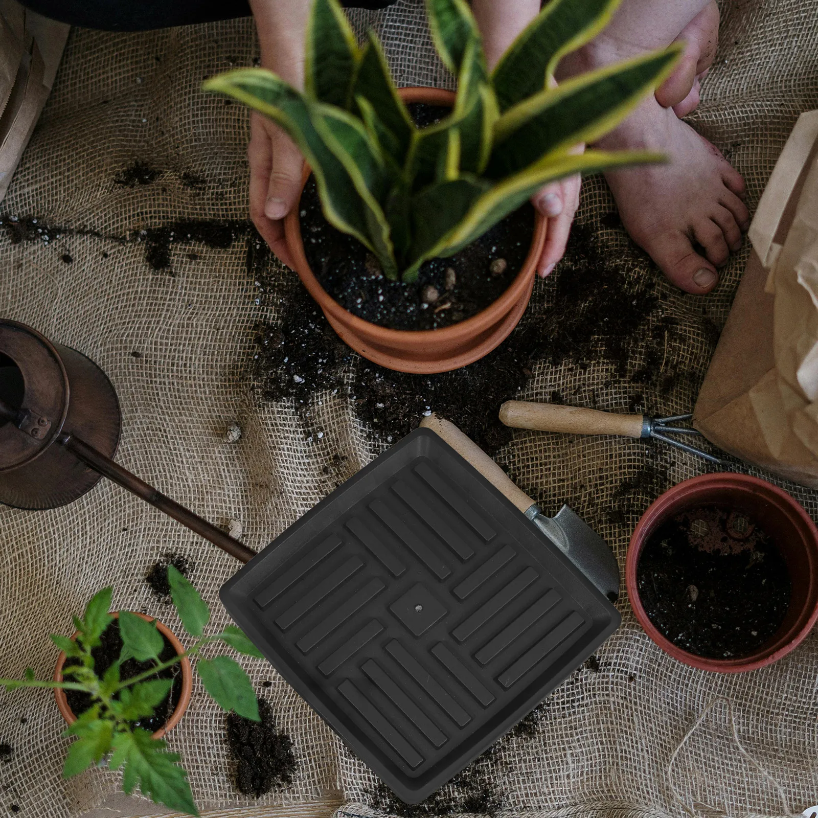 

Rolling Flower Pot With Wheels Movable Pot Tray Outdoor Tray Plant Stand Trolley For Garden Strong Load Capacity Pp Material