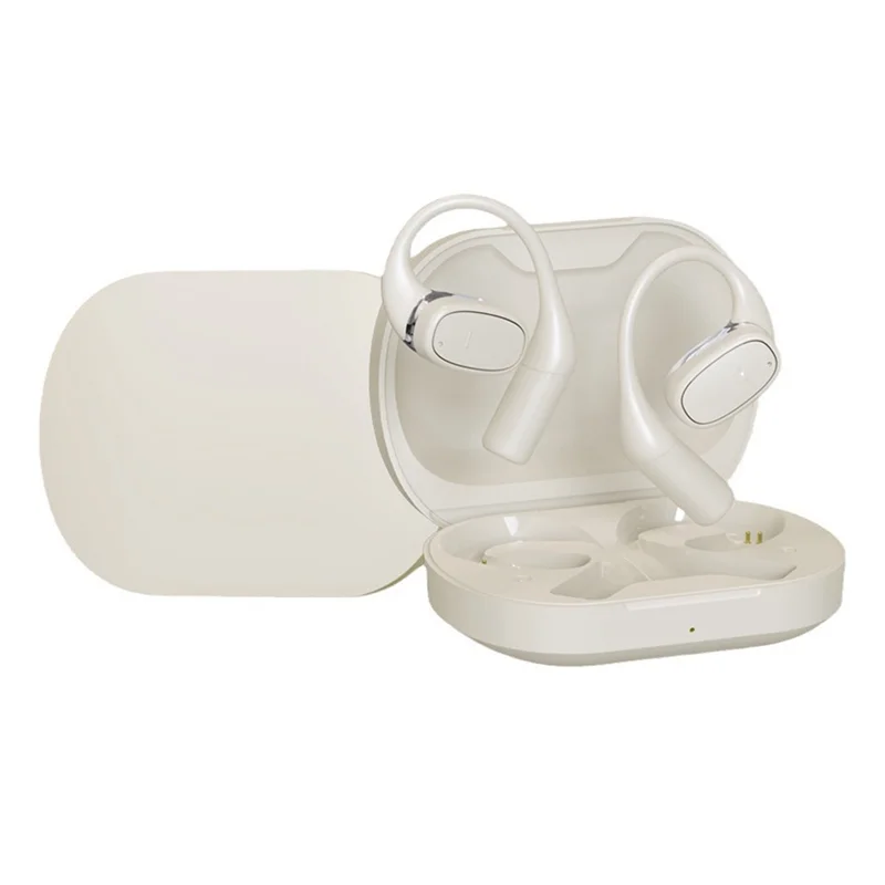 RISE-AI Translator …