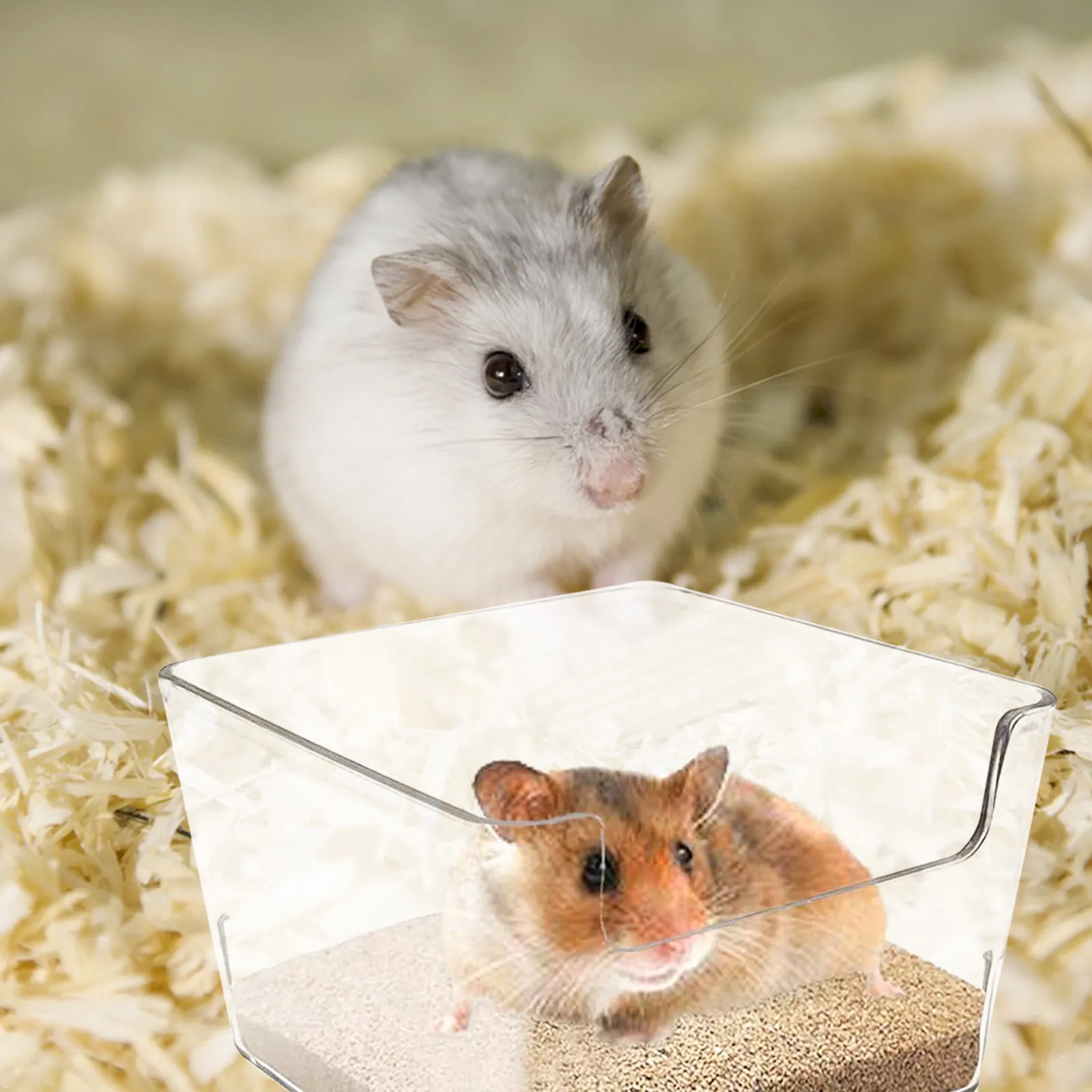 

3Pcs Clear Chinchilla Bathtub Wear-Resistant Sand Box with Anti-Slip Bottom Smooth Edges for Hamster Guinea Pig Small Pet