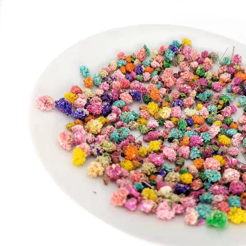 진짜 미니어처 말린 꽃 안개꽃 꽃 머리, DIY 아트 공예, 에폭시 수지 양초 제작, 보석 스크랩북 네일 아트 2g