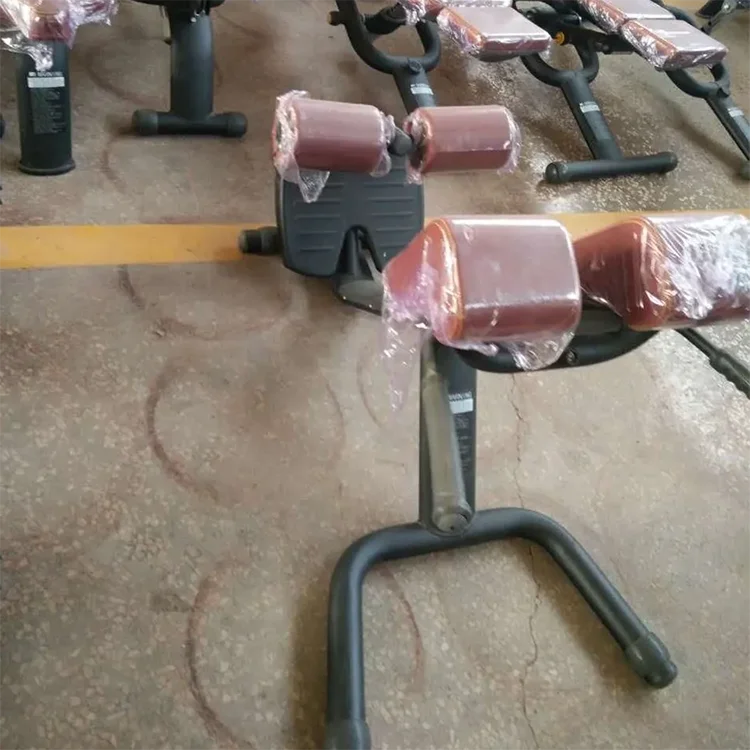 

Commercial Roman Chair Roman Stool Fitness Chair Professional Abdominal Muscle Back Muscle Trainer