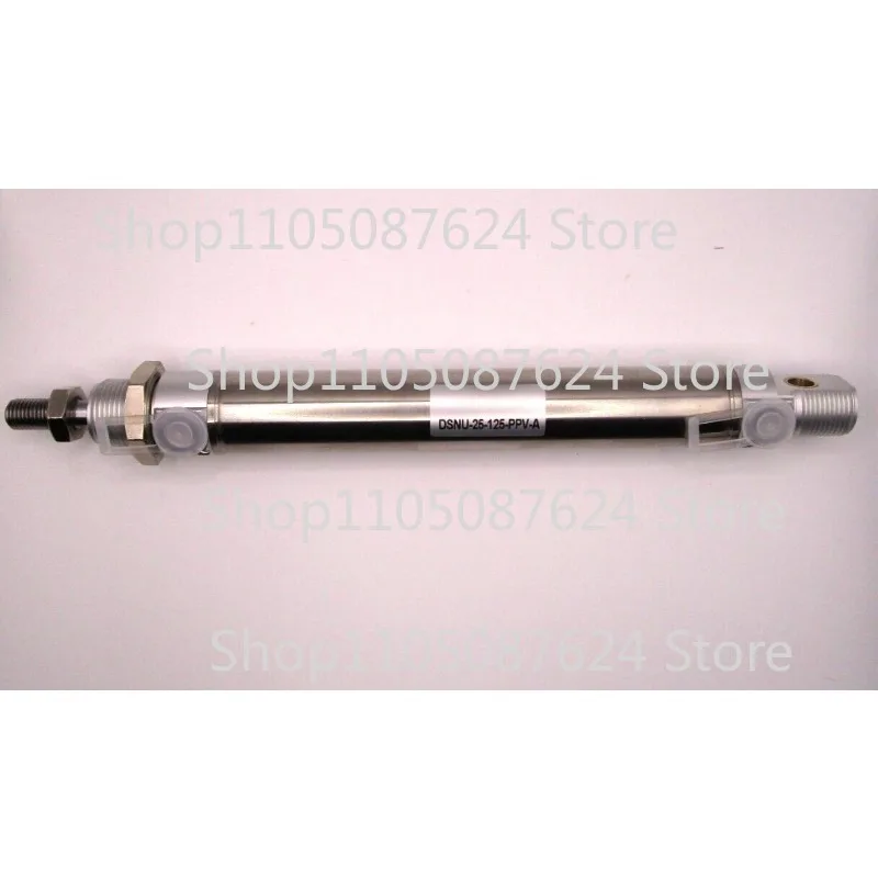 DSNU-25-125-PPV-A Round Standard Cylinder