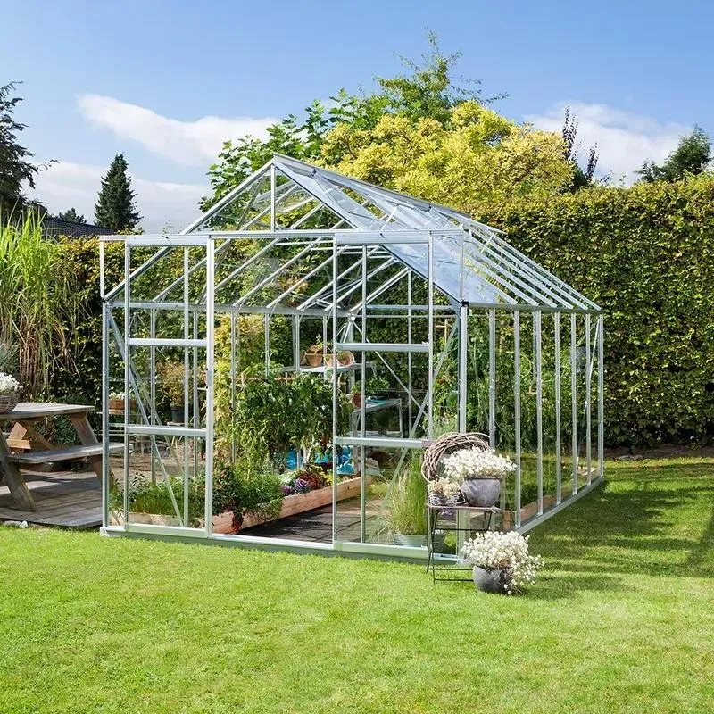 Eco Friendly Modern Mini Greenhouse Home Hydroponic Grow Shed Easy Assemble Metal Frame Powder Coating Tempered Glass