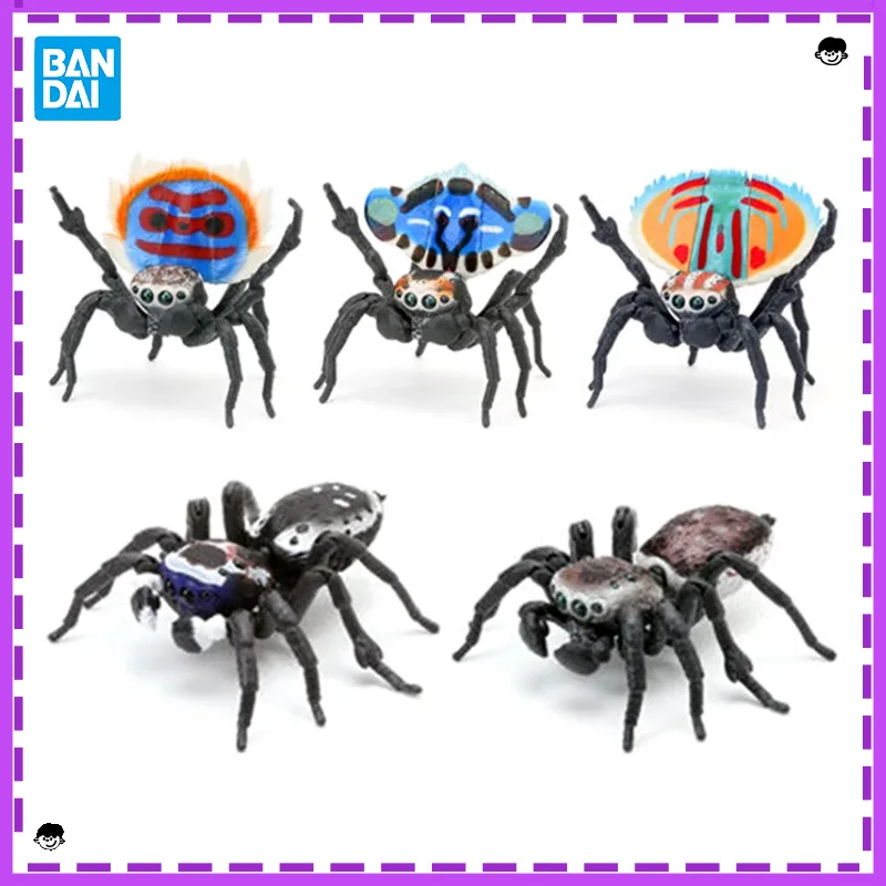 

Bandai Gashapon Simulation Insect Biographical Book Peacock Spider Poisonous Spider Action Figure Collectible Model Toy