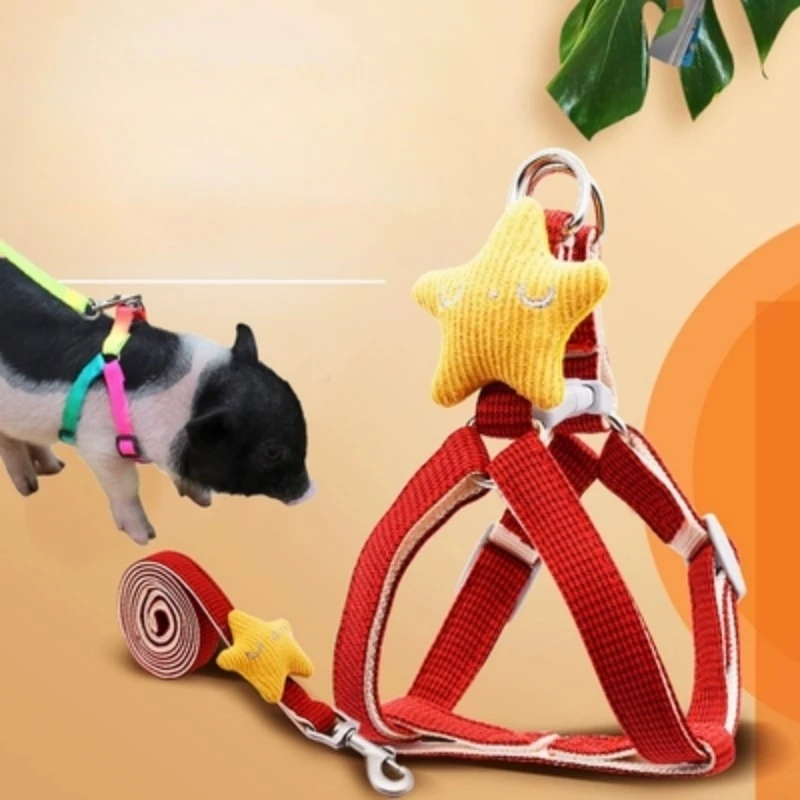 

Small Fragrant Pig Leash Rope For Walking Piglets Pet Pig Leash For Walking Pig Leash Supplies