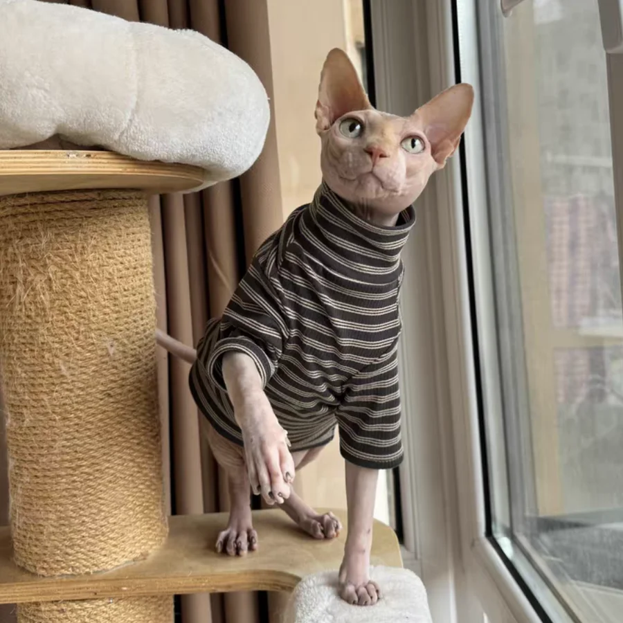 High-neck Dark Grey Thick Cotton Shirt for Cat Winter Soft Warm Striped Coat for Sphynx Cat Autumn Spring  Abyssinian Jumpsuit