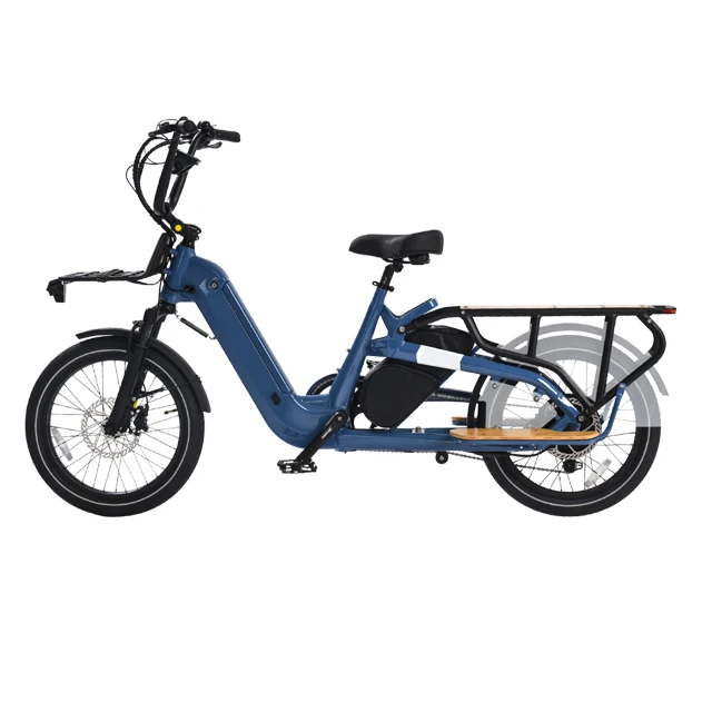 

STLF Hot Sale Electric Cargo Bike Family Electric Bike Long Tail Cargo ebike 48v 750w Motor with Lithium Battery Electric Bicycl