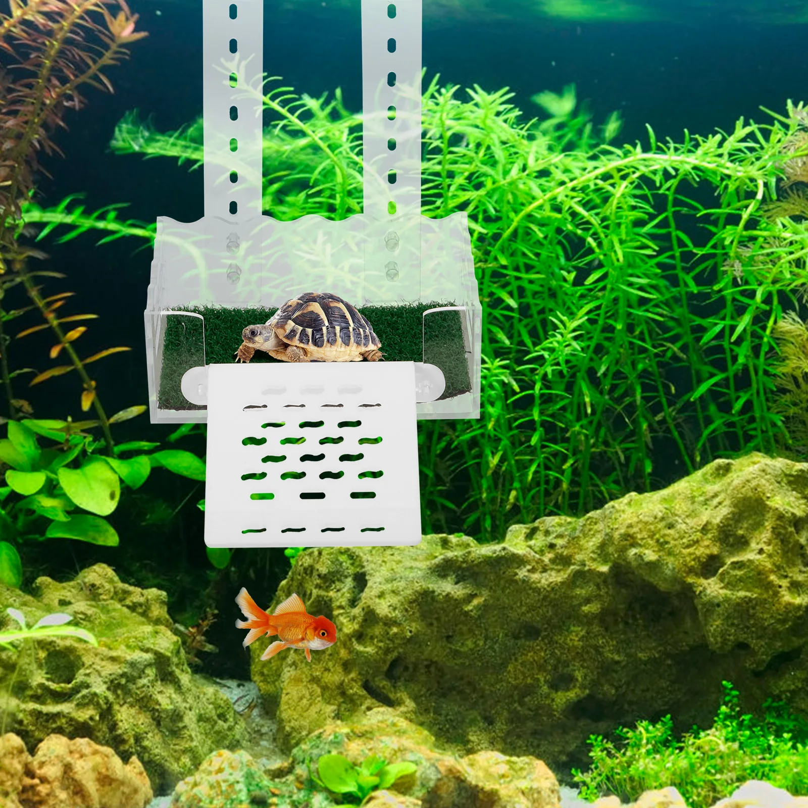 

Turtle Basking Platform Acrylic Terrarium Decor Resting Terrace Portable Multi-Function Tank Accessory Turtle Platform
