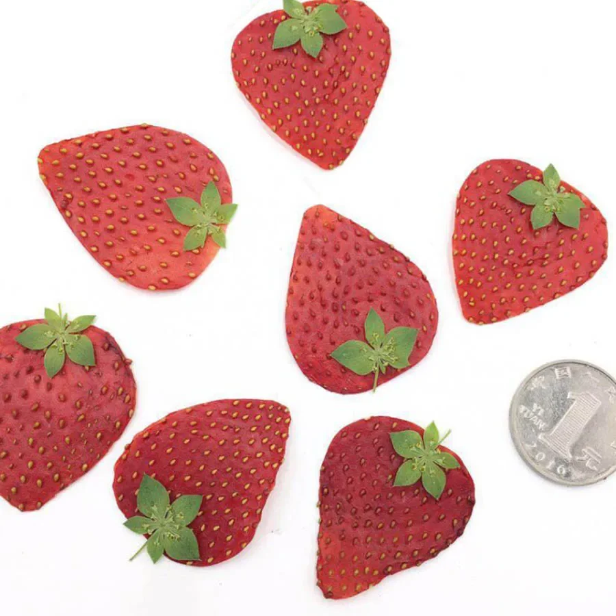 

5pcs Dried Pressed Fruit Strawberry Peel Slices Plant Herbarium For Jewelry Photo Frame Phone Case Bookmark Making DIY