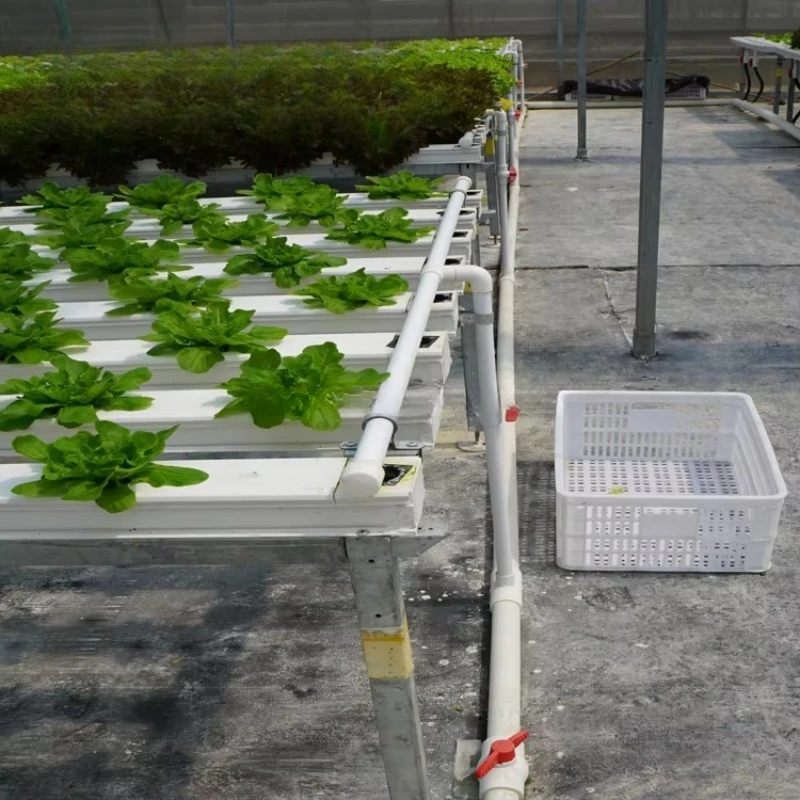 Sistema hidropónico NFT comercial