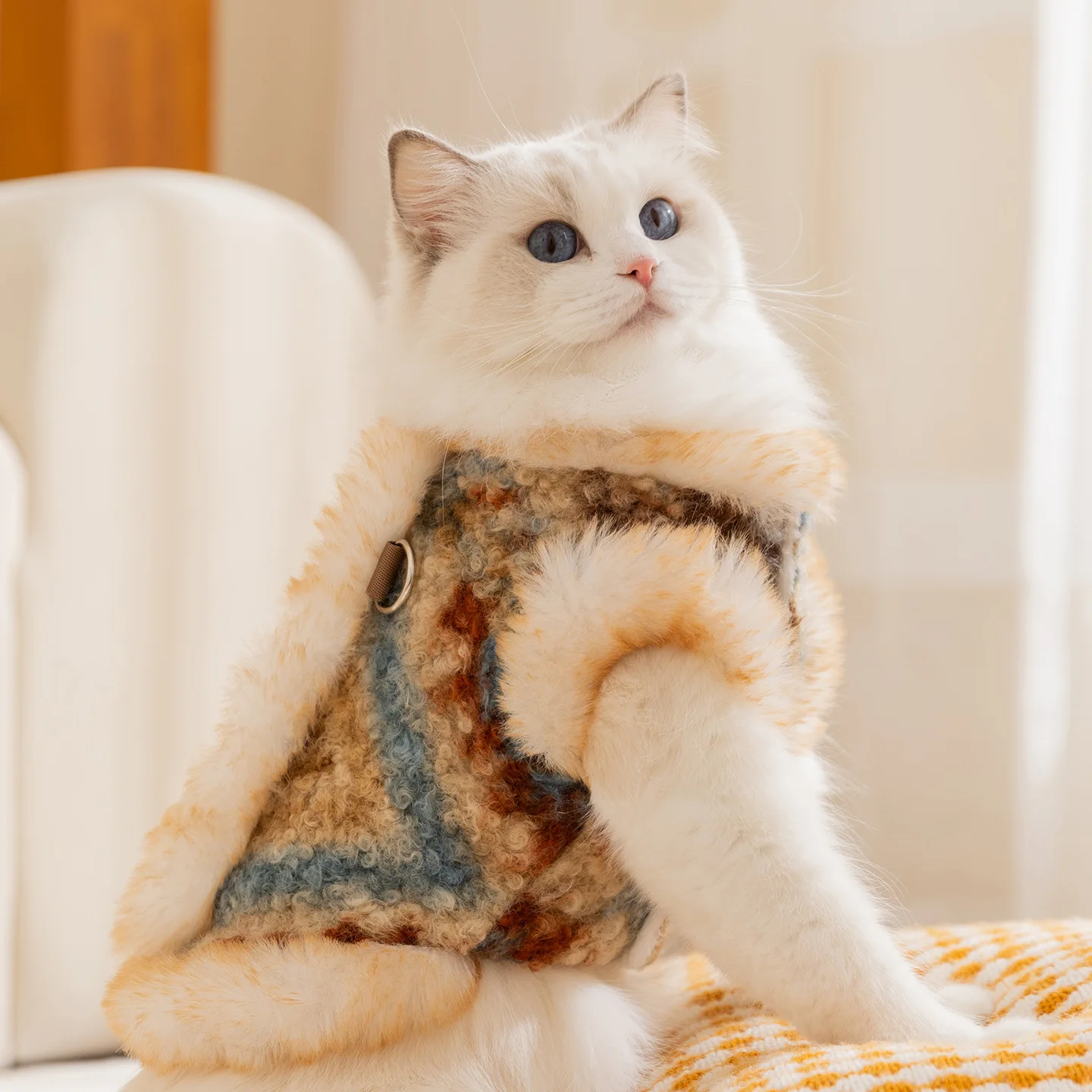 เสื้อกั๊กกำมะหยี่สำหรับสุนัขตั - Winter Clothing For Dogs บทวิจารณ์และราคา