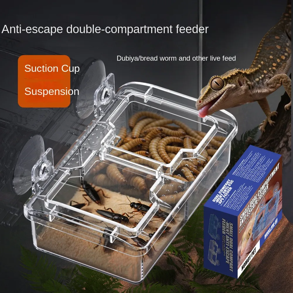 Rainforest Tank Aqu…