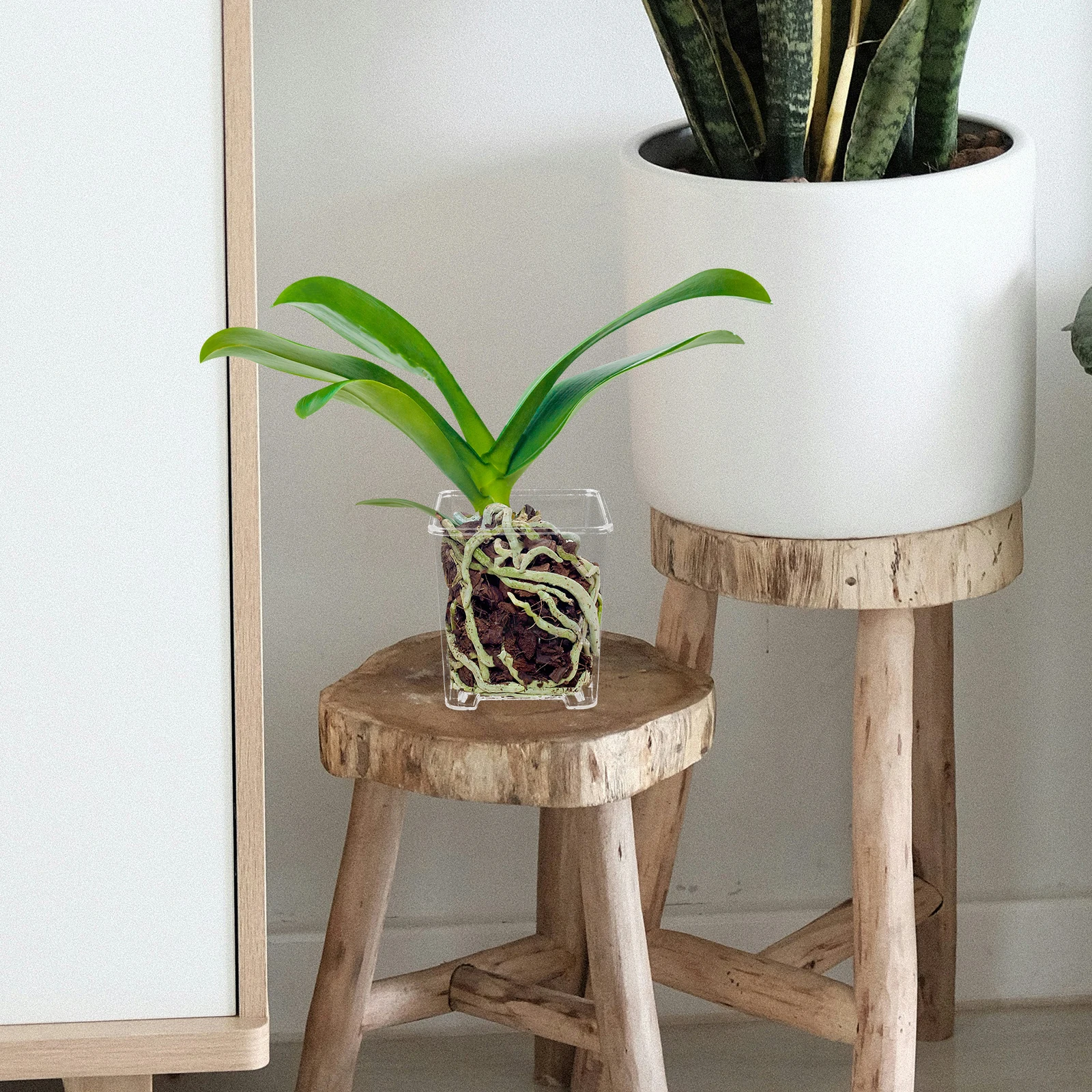 

5Pcs Butterfly Orchid Pots Clear Square Planters 8.5cm Transparent Acrylic for Indoor Gardening Hydroponic Succulents Nursery