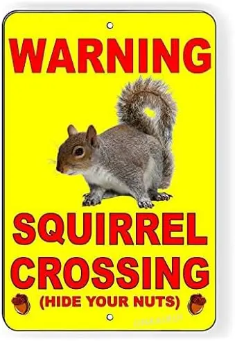 Retro Metal tin Sign Funny Squirrel Crossing Hide Your Nuts Warning Fashion Chic Rust Free Indoor Outdoor Use For Home Cave