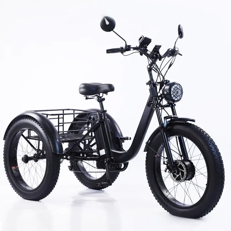 3 Wheel Electric Bike For Adults 24 Inch Fat Electric Bike 750W 15AH Powerful Snow Mountain Electric Bicycle with Cargo