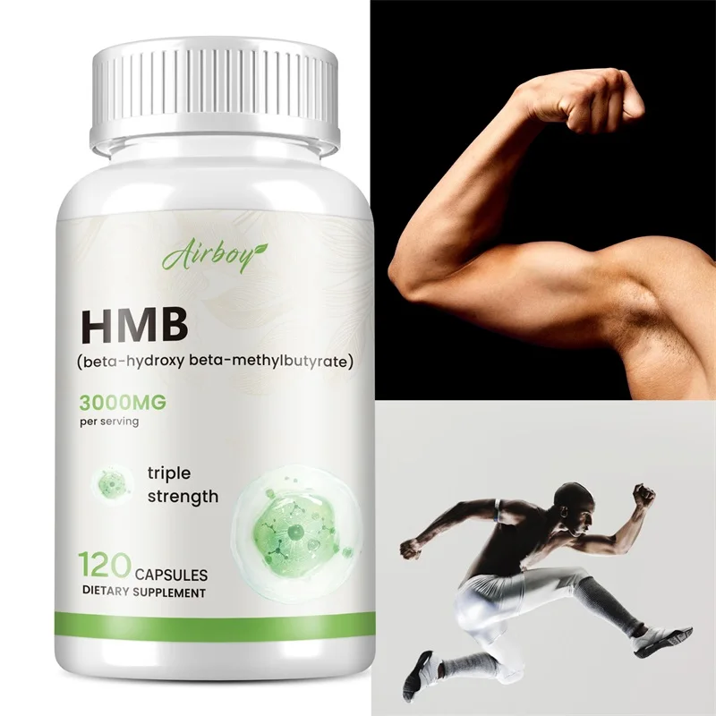 HMB Supplementation - Improves Exercise Intensity and Endurance, Promotes Blood Circulation, Muscle Growth and Reduces Injuries