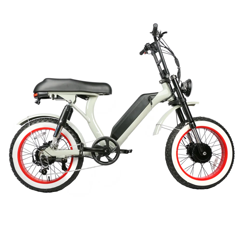 Fashion Style E Bike 750W 500W Dual Hub Motors High Powered Ebike Electric Bike 20 Inch Kenda Electric Bike for Adults