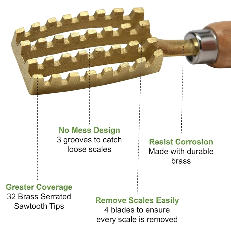 

Fish Scale Brush Scraper To Remove Fish Scales Solid Wood Brass Fish Scale Brush Scraper