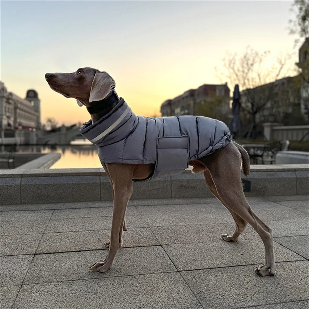 

Winter Dog Clothes Reflective Waterproof Pet Down Jacket for Small Medium Dogs French Bulldog Golden Retriever Rain Coat Outfit