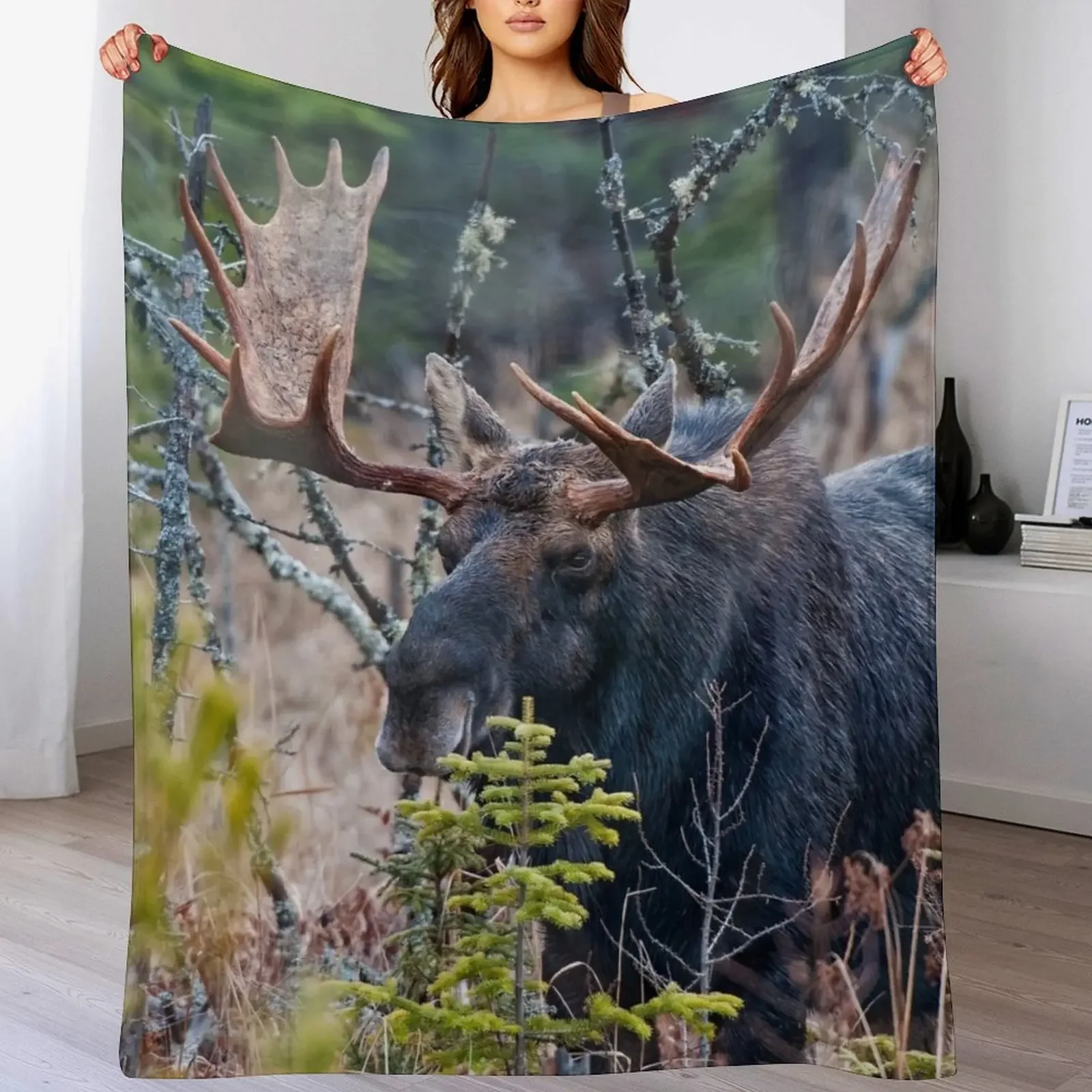 Bull Moose Throw Blanket Thermal christmas gifts Sofa Blankets